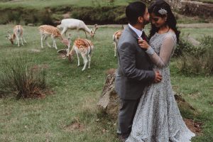 graduate-park-wedding-couple-deer